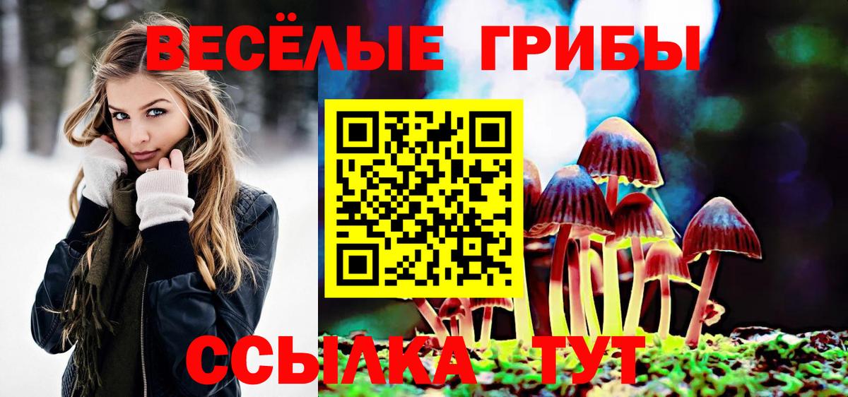 Галлюциногенные грибы мицелий  Галлюциногенные грибы прущие грибы  Вход с VPN  Новороссийск 
