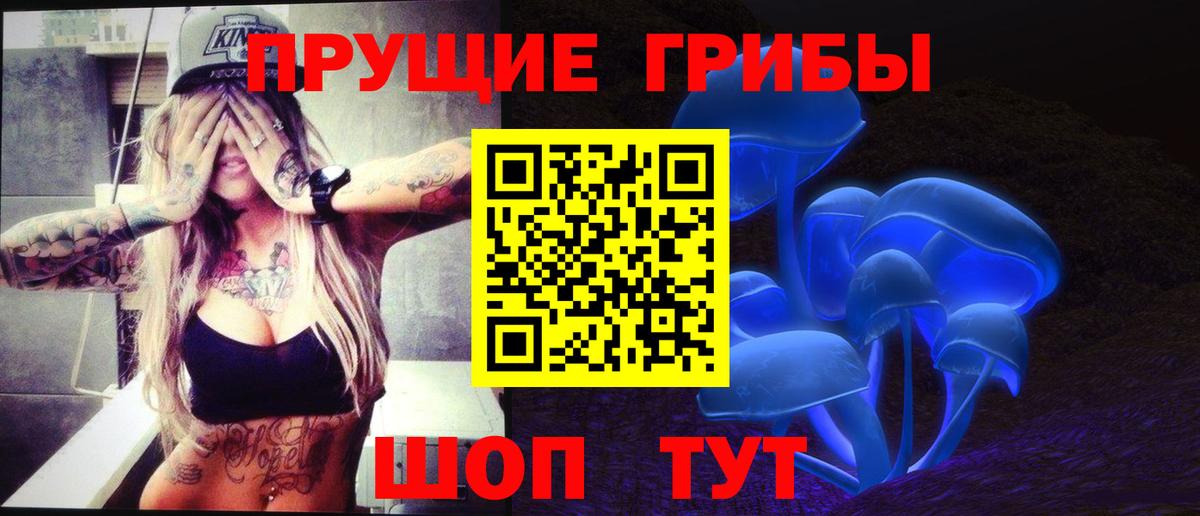 Псилоцибиновые грибы мицелий Новороссийск